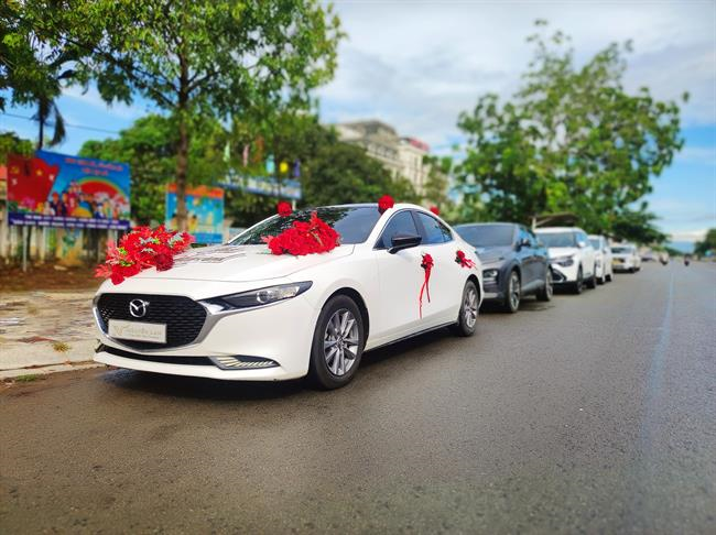 Hình ảnh nổi bật6